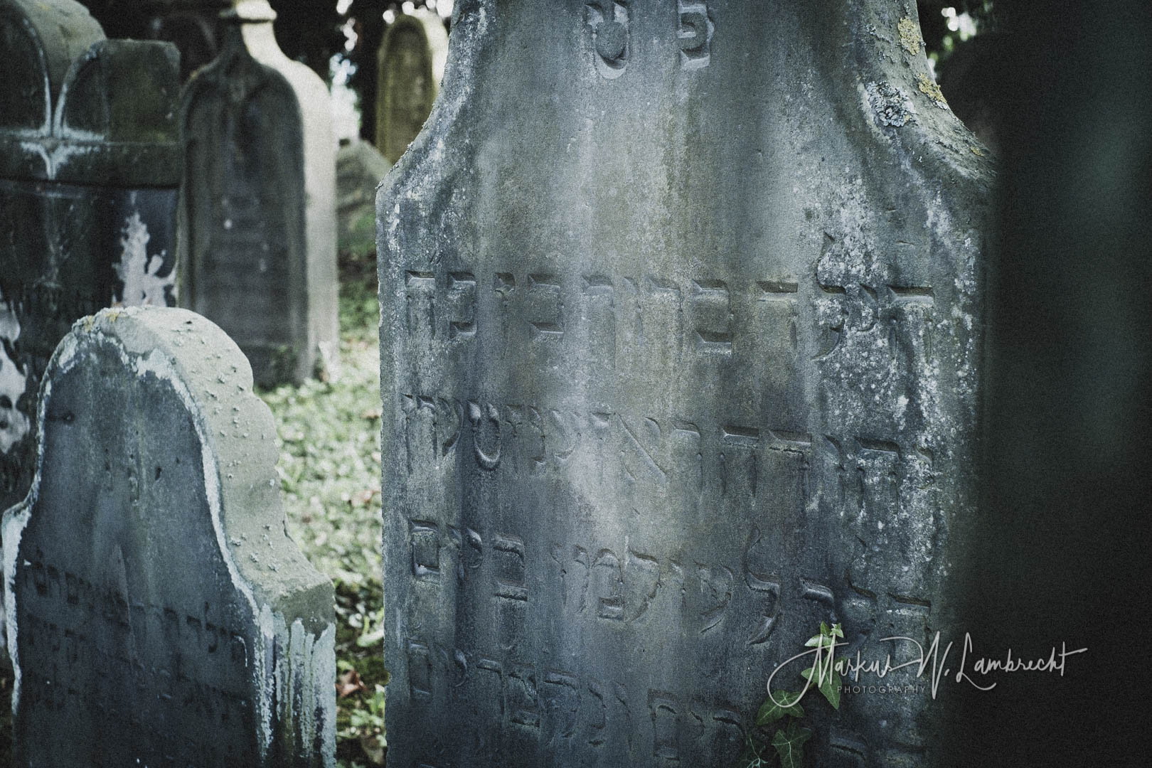 Hameln, Jüdischer Friedhof